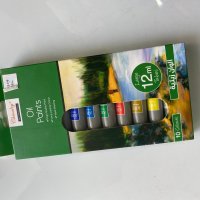 OIL PAINTS 12 COLORS